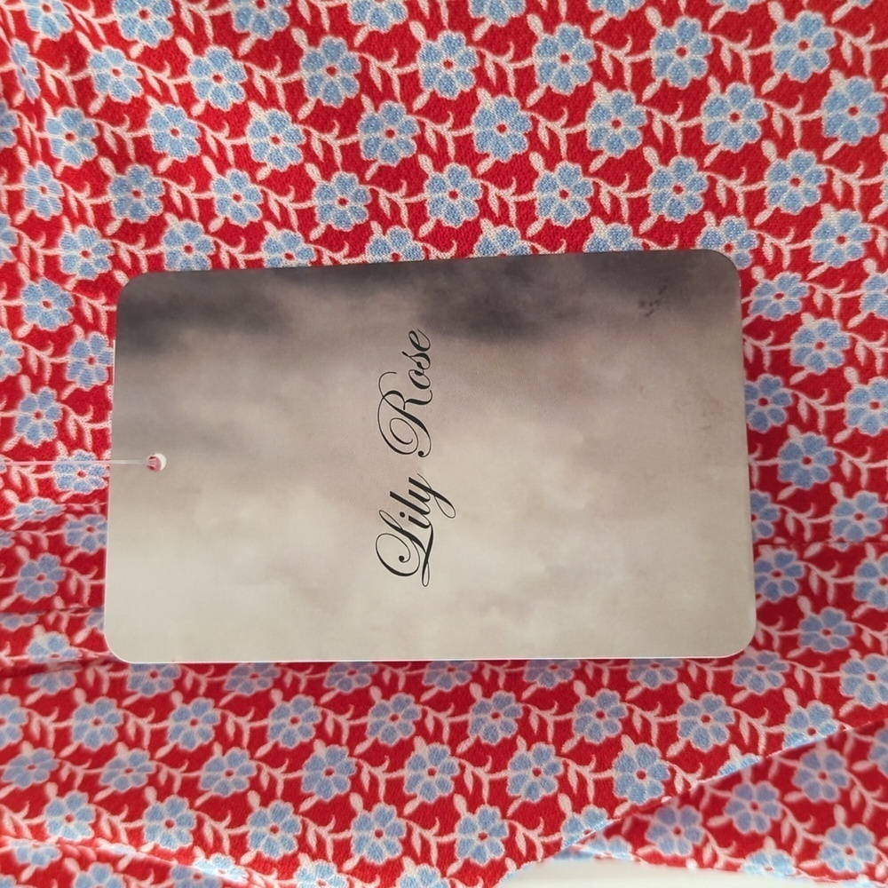 NWT Lily Rose Dress Red/Blue Summer - Picture 3 of 9